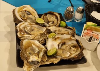 ¿Te gustan los ostiones? No te pierdas la Feria del Ostión Elota 2023