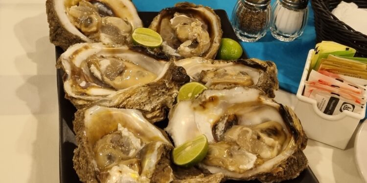 ¿Te gustan los ostiones? No te pierdas la Feria del Ostión Elota 2023