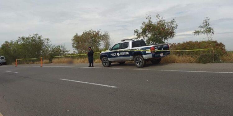 Hallan sin vida a joven desconocido que fue “tableado” y torturado en Guasave