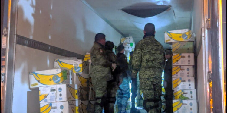 Detienen a trailero con 400 kilos de cocaína en Mazatlán