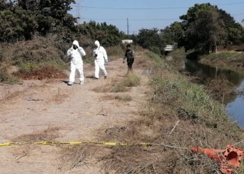 Flota cadáver en el Canal El 7