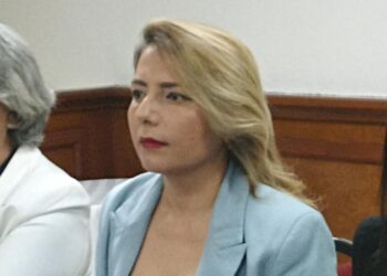 El secretario de Gobernación sólo viene hacer campaña: Roxana Rubio