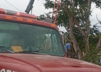 Se electrocuta jardinero cuando podaba un guamúchil en Pericos