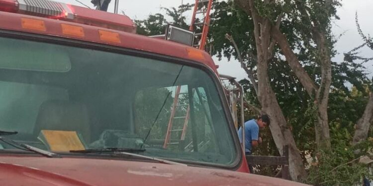 Se electrocuta jardinero cuando podaba un guamúchil en Pericos