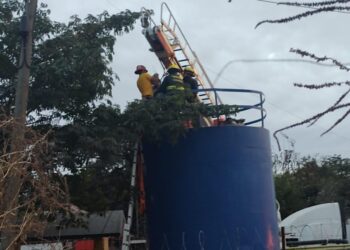 Mueren 2 trabajadores intoxicados en tanque de almacenamiento de combustible