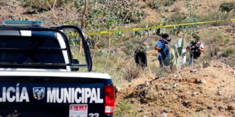 En Sinaloa asesinaron a 1.6 personas durante cada día del año 2022