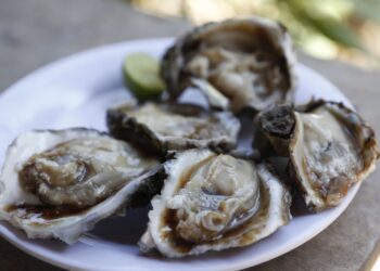 ¡A disfrutar! Mañana inicia la gran Feria del Ostión en Celestino Gazca, Elota