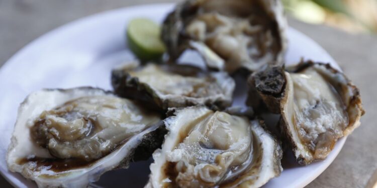 ¡A disfrutar! Mañana inicia la gran Feria del Ostión en Celestino Gazca, Elota