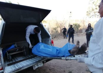 Bajan porcentajes de 5 delitos, pero 8 más suben de 2021 a 2022 en Sinaloa