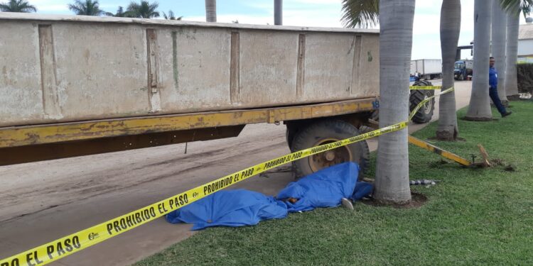 Fallecen aplastadas por una batanga cargada de tomate dos mujeres de “La Palma”