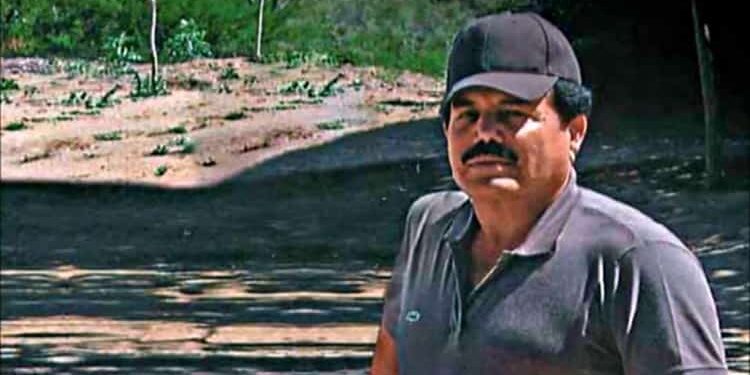 ¿Quiénes son los principales operadores de Ismael “El Mayo” Zambada que son buscados por la DEA?