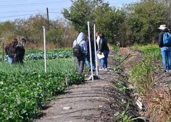 UAS invita a sectores productivos a participar con propuestas en el Foro Universitario de Reforma Académica y Administrativa