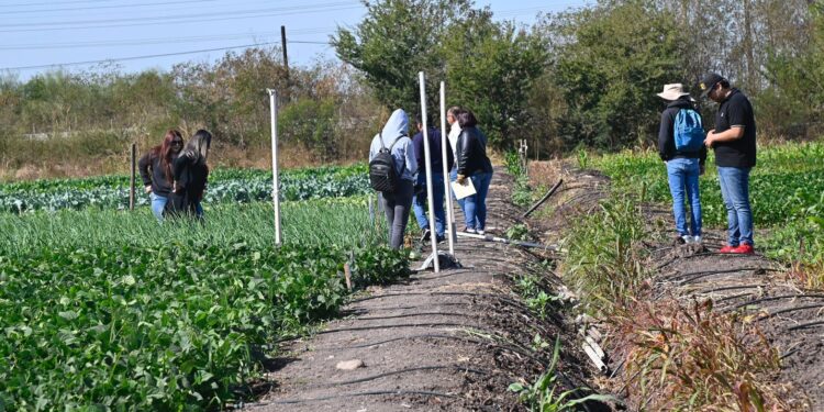 UAS invita a sectores productivos a participar con propuestas en el Foro Universitario de Reforma Académica y Administrativa