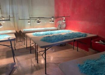 Ejército decomisa en Culiacán el narcolaboratorio de droga sintética más grande de la historia