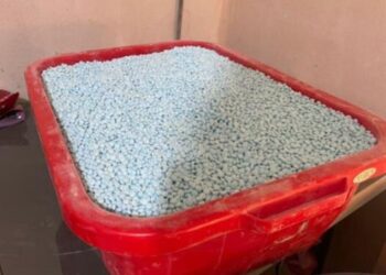 Detalla SEDENA lo asegurado en laboratorio de Pueblos Unidos