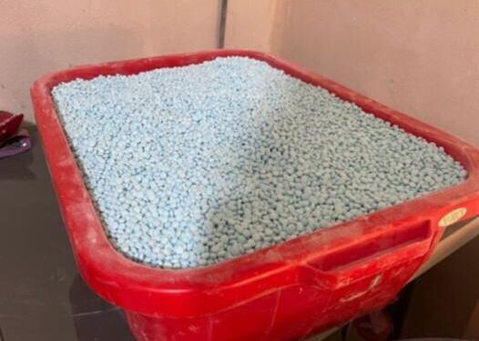 Detalla SEDENA lo asegurado en laboratorio de Pueblos Unidos