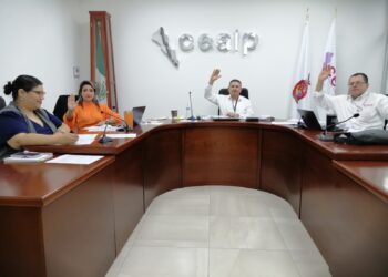CEAIP resuelve 19 recursos de revisión en Sesión de Pleno