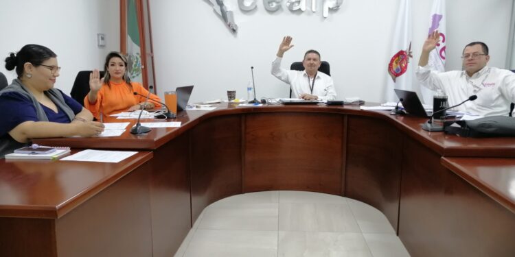 CEAIP resuelve 19 recursos de revisión en Sesión de Pleno