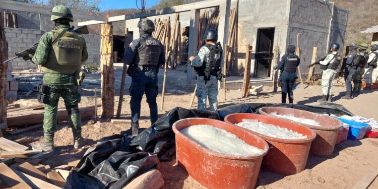 Aseguran más de una tonelada de droga sólida y 200 kilos de droga liquida