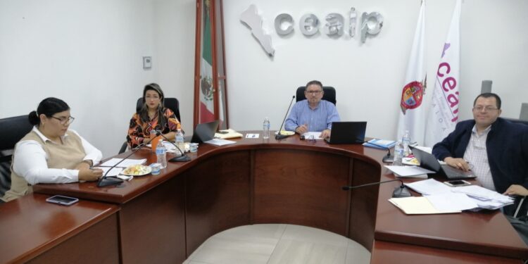 CEAIP resuelve 22 recursos de revisión y ordena entregar información pública