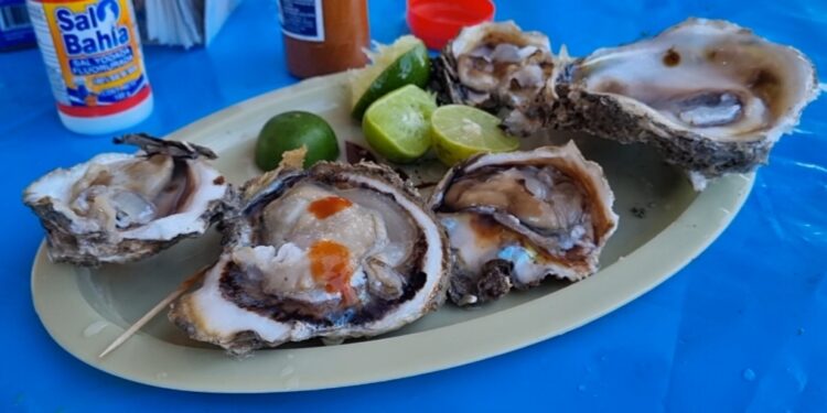 ¡Riquísimos! Todo un éxito la Feria del Ostión en Celestino Gazca, Elota