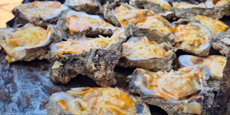 ¡Riquísimos! Todo un éxito la Feria del Ostión en Celestino Gazca, Elota