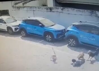 Video. ¡Que abuso! Perros atacan a niña de 2 años en Bugambilias