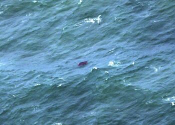 Someten a proceso penal a sujeto por el homicidio de 2 hombres encontrados flotando en el mar