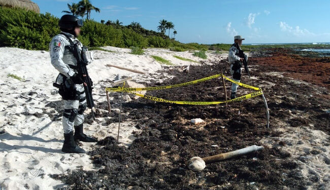 Entre el sargazo hallan cocaína en playa de Tulúm, Quintana Roo