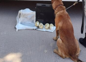 Dentro del CPU de una computadora culichis intentaban traficar droga