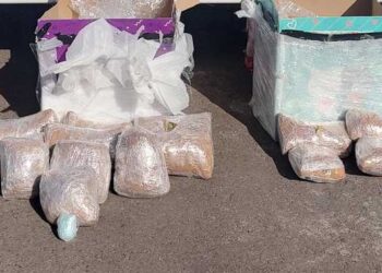 Asegura GN mil pastillas de fentanilo y mariguana en paquetería de Culiacán