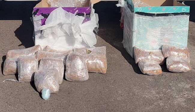 Asegura GN mil pastillas de fentanilo y mariguana en paquetería de Culiacán