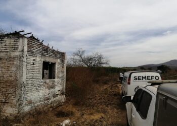 Hallan a hombre asesinado en el campo Morelia