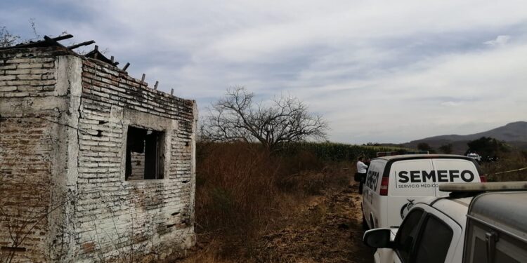 Hallan a hombre asesinado en el campo Morelia