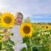 Abren temporada en el campo de girasoles en Mocorito Pueblo Mágico