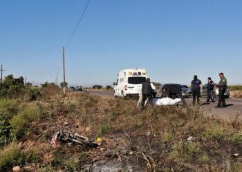 Mueren dos vecinos de Oso Viejo atropellados