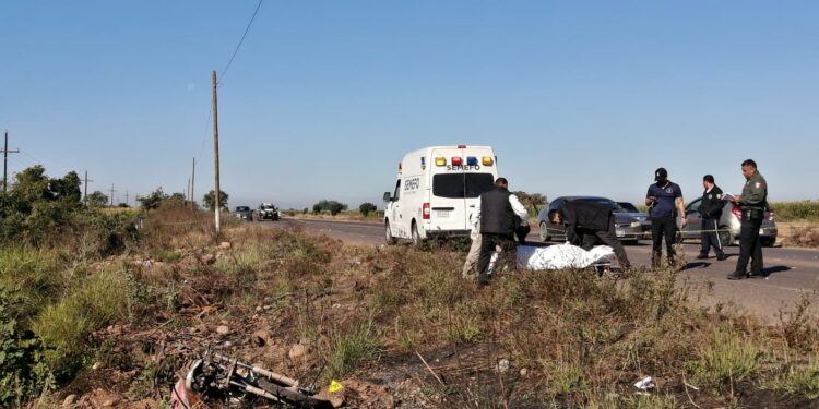 Mueren dos vecinos de Oso Viejo atropellados