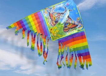 Niños y niñas de 6 a 11 años a volar sus papalotes