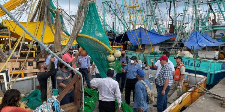 Destinan 14 mdp para inspección y vigilancia en veda de Camarón en Sinaloa