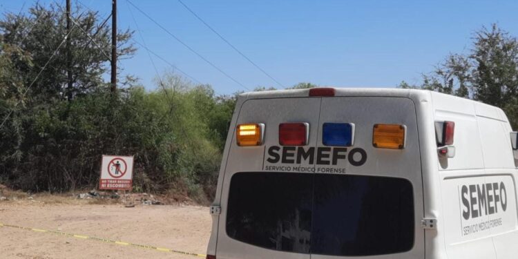 Localizan a un hombre asesinado en La Campiña