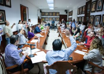 Cabildo aprueba designación de Síndicas y Síndicos Municipales tras plebiscitos