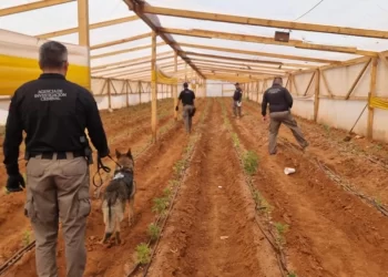 FGR realiza megaoperativo contra el Cártel de Sinaloa en 6 estados