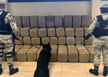 Aseguran en Nuevo León más de media tonelada de marihuana procedente de Mazatlán