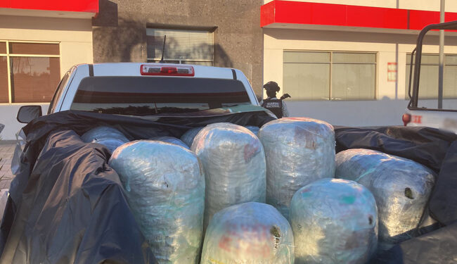 Asegura GN 160 kilos de mariguana en Costa Rica