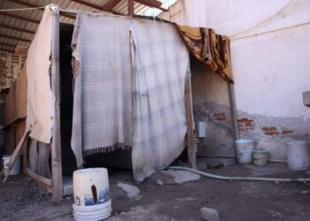 Demandan diputadas y diputado mejorar condiciones de personas jornaleras agrícolas