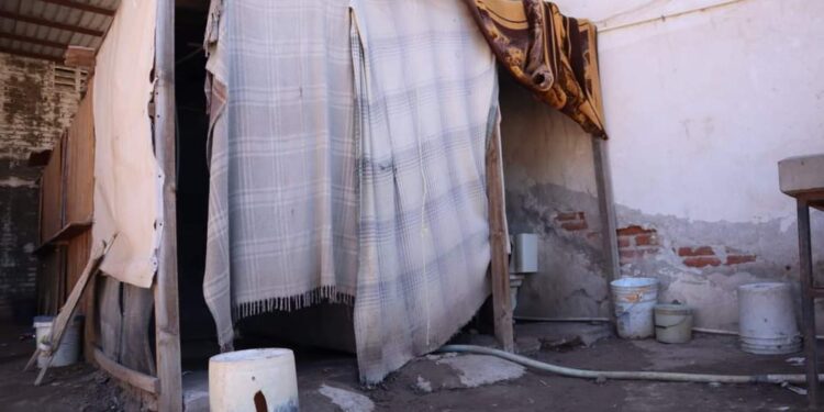 Demandan diputadas y diputado mejorar condiciones de personas jornaleras agrícolas