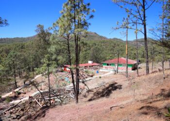 Incendio forestal en Concordia está controlado, aseguran