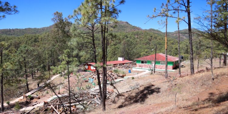 Incendio forestal en Concordia está controlado, aseguran