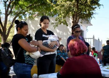Arranca jornada de esterilización de perros y gatos en el Parque Culiacán