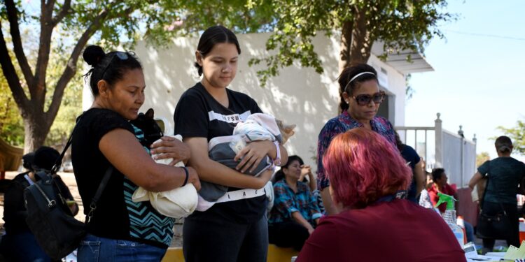Arranca jornada de esterilización de perros y gatos en el Parque Culiacán
